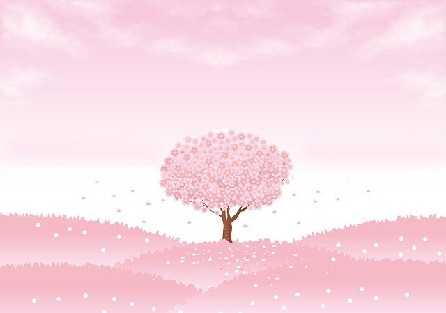 桜